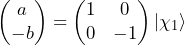 \begin{pmatrix} a \\-  b \end{pmatrix} = \begin{pmatrix} 1 & 0 \\ 0 & -1 \end{pmatrix} \ket{\chi_1}