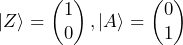 \ket{Z} = \begin{pmatrix} 1 \\ 0 \end{pmatrix}, \ket{A} = \begin{pmatrix} 0 \\ 1 \end{pmatrix}
