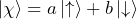 \ket{\chi} = a \ket{\uparrow} + b \ket{\downarrow}