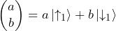 \begin{pmatrix} a \\ b \end{pmatrix} = a \ket{\uparrow_1} + b \ket{\downarrow_1}