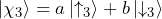\ket{\chi_3} = a \ket{\uparrow_3} + b \ket{\downarrow_3}