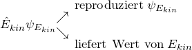 \[\hat{E}_{kin} \psi_{E_{kin}} \begin{matrix} \\ \nearrow \\ \searrow \\ \\ \end{matrix} {\displaystyle {\begin{aligned} &\left \text{reproduziert} \: \psi_{E_{kin}}\\ \\ &\left \text{liefert Wert von} \: E_{kin} \end{aligned}\]